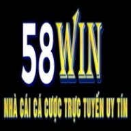 58winvipskin