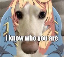 lotusneedsahug