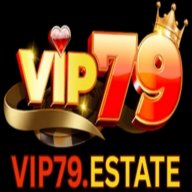 CEO Vip79
