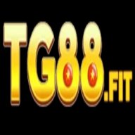Tg881vn
