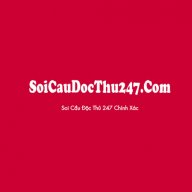 soicaudocthu247