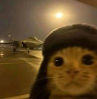hello i like planes