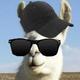 Jimmy_The_Alpaca