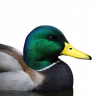 Brickturn