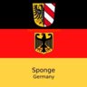Sponge