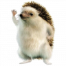Kevin15673