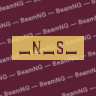 _N_S_