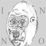 INNO_GORRILA