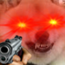 nowysen