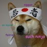 ninja_doge2006