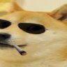 doge man