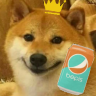 BepisKing