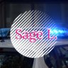 Vapor _Sage
