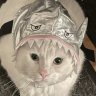 Marshyisfat
