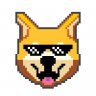 PlanetDoge