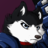 GTHusky