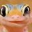 OakGecko