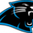 panther_124