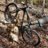 mtnbiker88