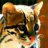 TheAwesomeOcelot