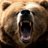CanadianGrizzlyBear