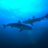 Jrdiver