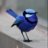 SpotlessBird762
