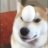 Thelegitdoggo