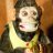 Clockwork Monkey
