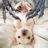 Mr. Puppy Stomper