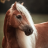 ShadowUnicorn_Gaming