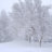Snowstorm