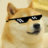 DOGE MUCH WOW