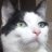 SamTehCat