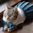 MeowBoxie