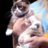 catzforall