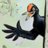 TheBlackWoodpecker