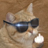 SuperSneakyKitty