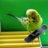 petetheparakeet
