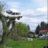Carlover1108