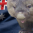 The Wombat