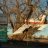 CF-100 Canuk