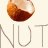 CoCoNuTNuT4