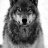 wolfnavy