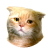 Jasiek22