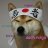 ninja_doge2006