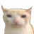 CloakerDoaker