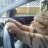 Happycat