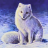 ArcticFox522