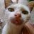 Garfieldthelazycat